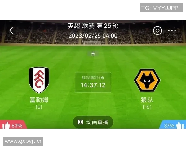 英超狼队20轮仅积6分距离保级区差距明显西汉姆联保级形势严峻